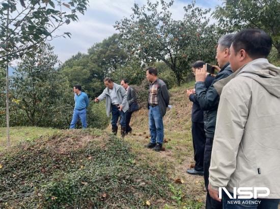 NSP통신-2024년 10월 28일 광양시 진상면 매티재 현장조사 (사진 = 광양시청)