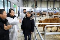 [NSP PHOTO]강진군, 강진한우 송아지부터 차별화 한우산업 육성 본격화