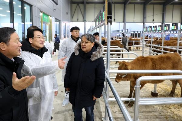 NSP통신-강진원 강진군수가 최근 설 명절을 앞두고 가축시장을 방문해 한우 농가를 격려하고 의견을 청취하고 있다. (사진 = 강진군)