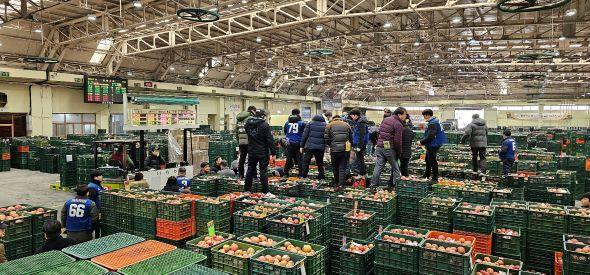 NSP통신-안동농협 농산물공판장이 매출액 3600억원을 달성하며 전국 농산물 유통 선두자로서의 입지를 한 번 더 공고히 했다. (사진 = 안동농협)