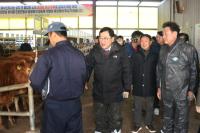 [NSP PHOTO]주낙영 경주시장, 한우농가 현장 방문 애로사항 청취