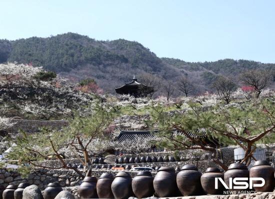 NSP통신-항아리가 살아 숨 쉬는 생명력 넘치는 공간 (사진 = 광양시청)