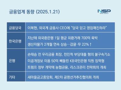 [NSP PHOTO][금융업계동향]트럼프 시대 개막에 출렁이는 금융권