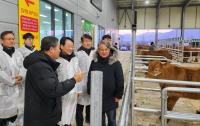 [NSP PHOTO]강진군,  전체 한우 농가에 사료비 최대 54만 원 지원