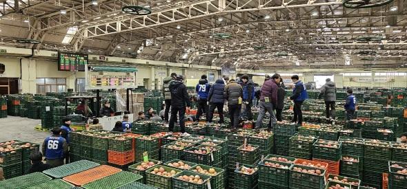 NSP통신-안동농협 농산물공판장은 2025년부터 농업인의 안정적 농산물 출하를 지원하고 지역 농산물 유통 활성화하기 위해 출하장려금 지급 규모를 최대 0.3%p 확대한다. (사진 = 안동농협)