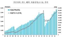 [NSP PHOTO][그래프속 이야기]해외여행 폭증에 알리·테무까지…해외 카드결제 사상 최대