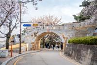 [NSP PHOTO]수원문화재단, 아름다운 수원화성 벚꽃길 즐겨요