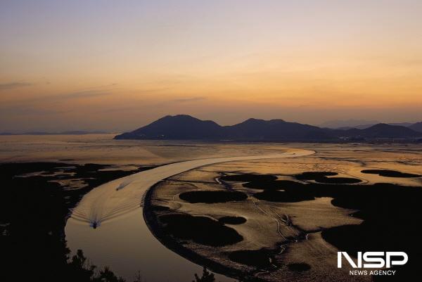 NSP통신-순천만습지는 세계 멸종 위기종인 흑두루미 절반의 서식지이며 유네스코 세계자연유산으로 순천의 생태와 문화적 가치를 보여준다. (사진 = 순천시)