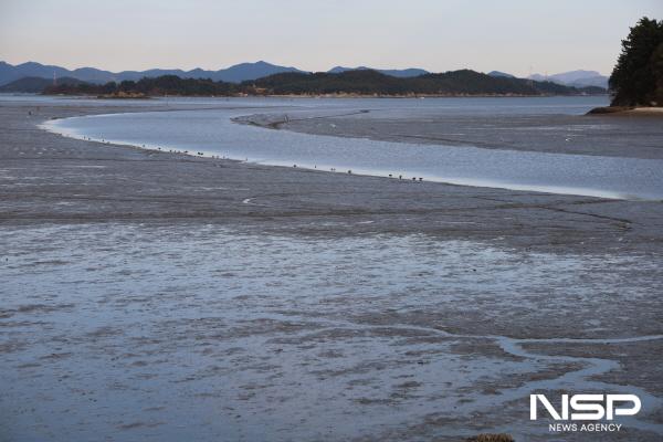 NSP통신-고흥 여자만 갯벌이 포함된 한국의 갯벌 세계유산 2단계 등재 신청서가 유네스코 세계유산센터의 완성도 검사 결과를 통과했다(남양면 망주 갯벌) (사진 = 고흥군)