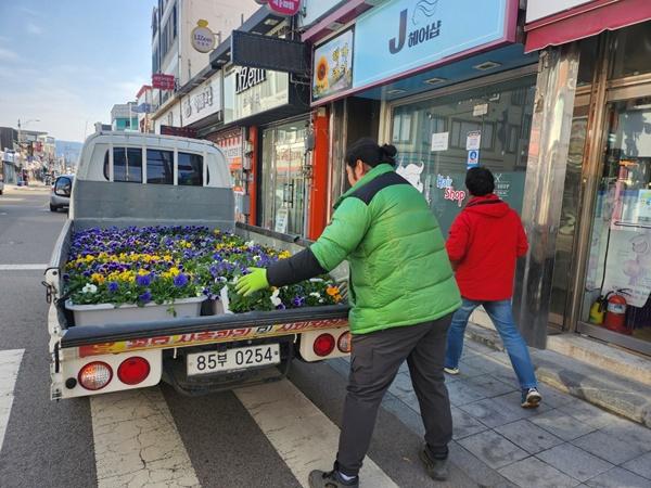 NSP통신-강진군이 강진읍 일대 상가에 화분을 전달하고 있다. (사진 = 강진군)