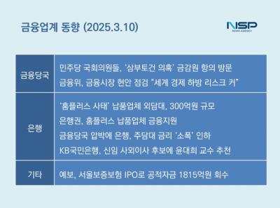 [NSP PHOTO]금융업계동향금감원 들이닥친 민주당 의원들홈플러스 사태에 보따리 푼 은행권