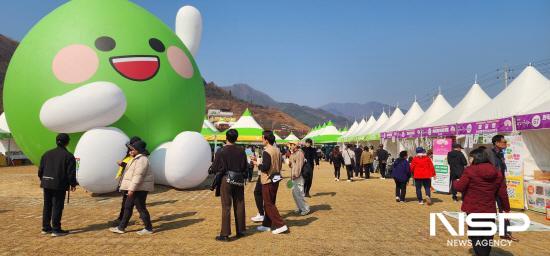 NSP통신-차 없고 일회용품 없는 안전하고 쾌적한 제24회 광양매화축제 (사진 = 광양시청)