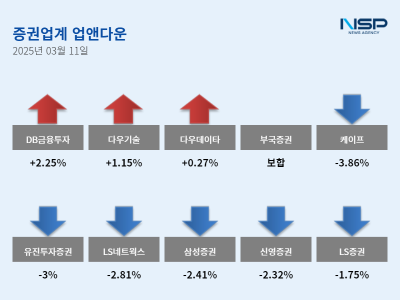 [NSP PHOTO]업앤다운증권주 하락DB금융투자케이프