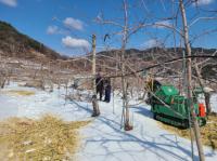 [NSP PHOTO]안동시, 영농부산물 안전처리 지원 사업 추진