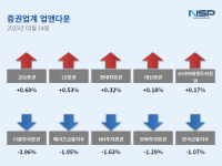 [NSP PHOTO][업앤다운]증권주 하락…교보증권↑·다올투자증권↓