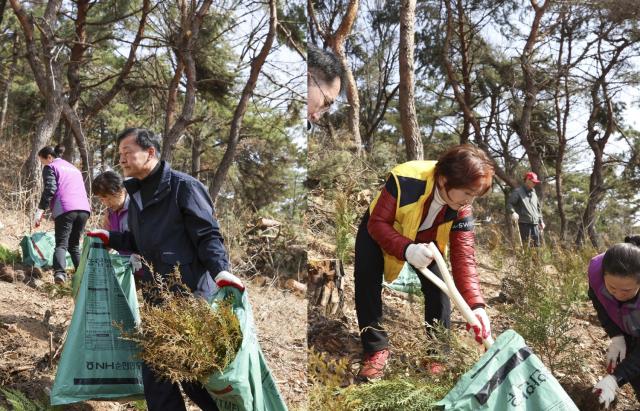 NSP통신-안산시의회 박태순 의장(왼쪽)과 현옥순 의회운영부위원장이 구룡공원 명품 둘레길 편백나무 숲길 식재 행사에서 나무 심기 작업을 하고 있다. (사진 = 안산시의회)