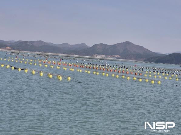 NSP통신-전라남도가 해양 미세 플라스틱 문제 해결을 위해 2025년까지 286억 원을 투입 친환경 인증부표를 양식장에 확대 보급한다 (사진 = 전남도)