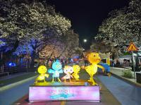 [NSP PHOTO]안동시, 2025 안동 벚꽃축제 준비에 박차