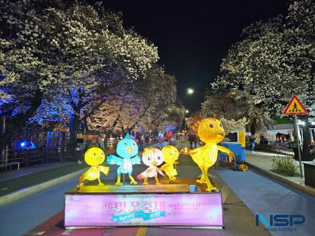 NSP통신-벚꽃도 피고, 내 마음도 피고, 안동시 2025 안동 벚꽃축제 막바지 준비 박차, 봄옷으로 갈아입을 벚꽃길, 봄나들이객 맞을 준비 (사진은 지난해 벚꽃축제장 풍경) (사진 = 김오현기자)