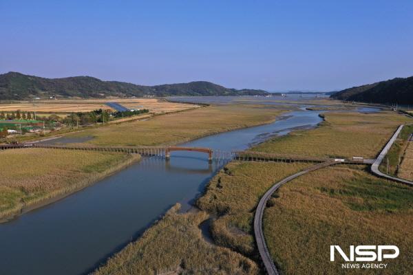 NSP통신-보성 벌교 갯벌탐방로 전경 (사진 = 보성군)
