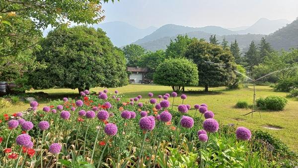 NSP통신- (사진 = 담양군)