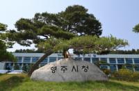 [NSP PHOTO]영주시, 개별공시지가 열람 및 의견 접수