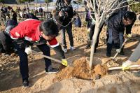 [NSP PHOTO]장흥군, 통일 염원 담은 무궁화 2600주 식재