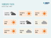 [NSP PHOTO][식품업계 기상도]빙그레 맑음·롯데칠성 흐림