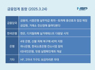 [NSP PHOTO]금융업계동향5년 만에 디지털화폐 시대 성큼은행권 선점 경쟁