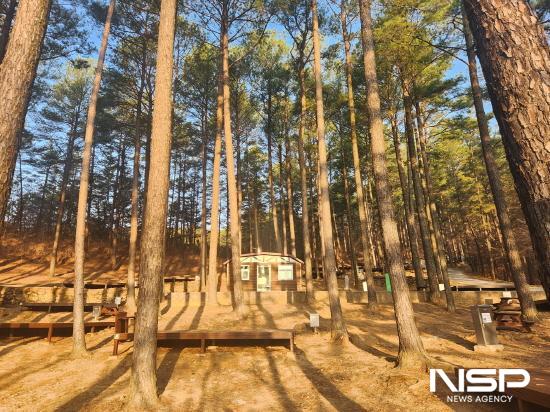 NSP통신-백운산자연휴양림 야영장 (사진 = 광양시청)
