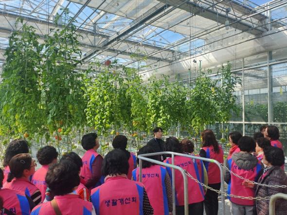 NSP통신-생활개선안동시연합회는 20일 임원 및 이사 29명을 대상으로 전문능력 강화를 위한 선진농업 현장교육을 실시했다. (사진 = 안동시)