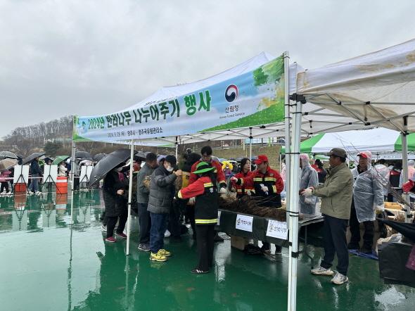 NSP통신-영주시는 제80회 식목일을 맞아 오는 27일 오전 10시부터 서천둔치(영주교 아래 인라인스케이트장)에서 나무 나누어주기 행사를 개최한다. (사진 = 영주시)