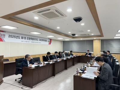 [NSP PHOTO]강원도 2025년 규제개혁위원회 개최