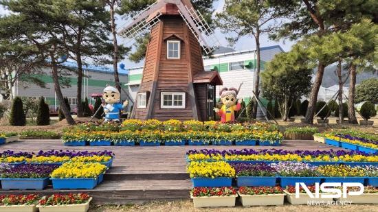 NSP통신-농업기술센터 시험포장 내를 봄꽃으로 단장해 봄꽃 집중전시 (사진 = 광양시청)