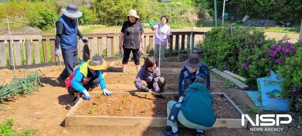 NSP통신-2024년 율촌 여자만마을 마을가꾸기 지역교류 활동사진 (사진 = 여수시)