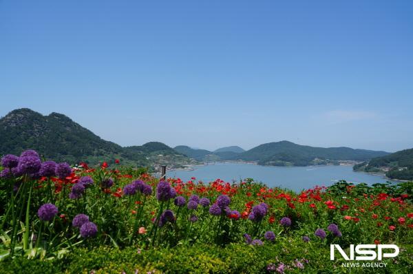 NSP통신-벚꽃과 유채꽃이 가득한 봄 여행지 - 쑥섬 (사진 = 고흥군)