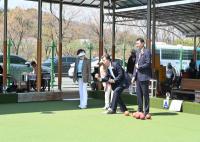 [NSP PHOTO]대구광역시장애인체육회, 제2회 대구광역시 전국장애인론볼대회 성료