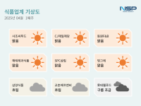 [NSP PHOTO][식품업계 기상도]사조씨푸드 맑음·교촌에프앤비 구름조금