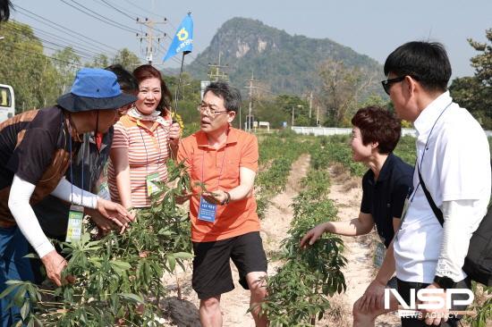 NSP통신-태국 선진 농업 시스템 체험 (사진 = 동광양농협)