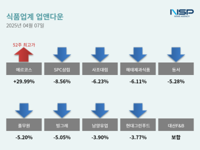 [NSP PHOTO]업앤다운식품주 하락에르코스SPC삼립