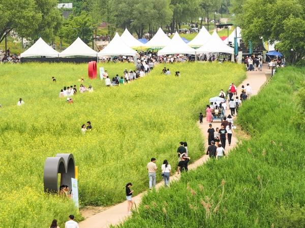 NSP통신-2024 창릉천 유채꽃 축제 (사진 = 고양시)