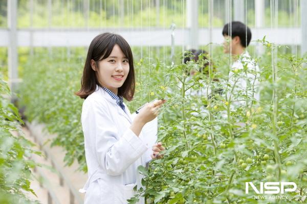 NSP통신-농촌진흥청 연구개발사업 등 7개 연구과제 최종 선정 (사진 = 순천대)