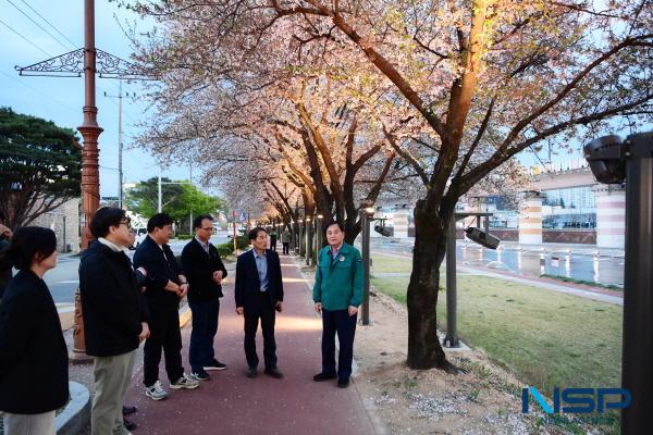 NSP통신-지난 7일 배낙호 김천시장이 직지천 벚꽃길 현장 점검에 나섰다. (사진 = 김천시)