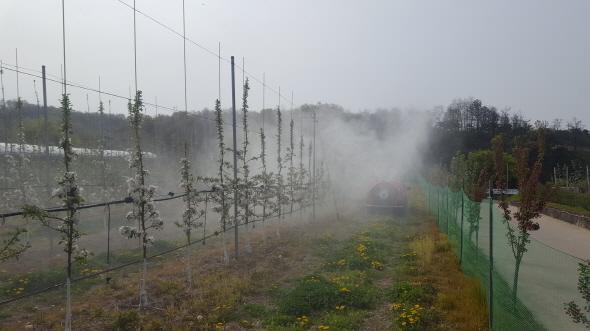 NSP통신-영주시 과수화상병 개화기 방제로 선제 차단 총력, 사과·배 농가 대상 집중 약제 살포 예찰·예방 체계도 강화 (사진 = 영주시)