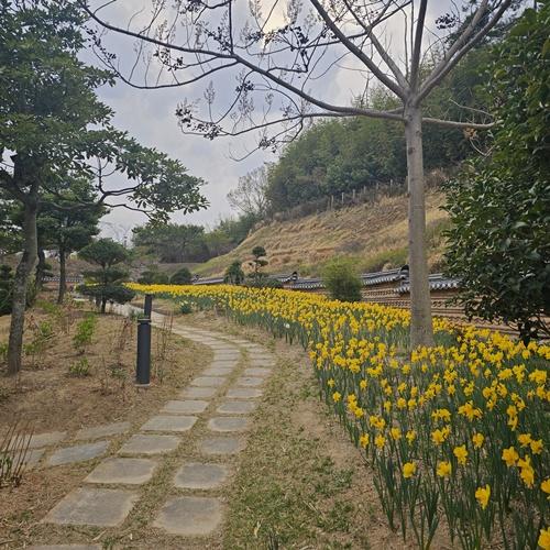 NSP통신- (사진 = 강진군)