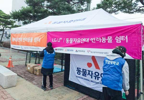 NSP통신- (사진 = LG유플러스)