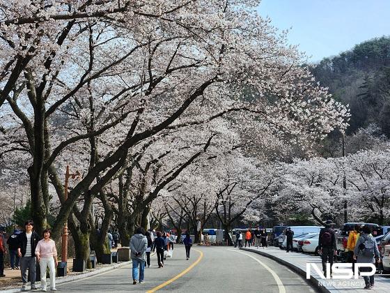 NSP통신- (사진 = 진안군)
