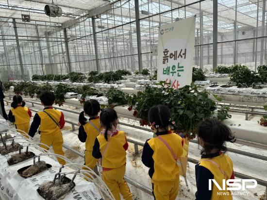 NSP통신-체험형 영양교육 흙에서 배우는 식사 프로그램 운영 (사진 = 광양시청)