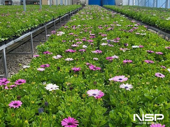 NSP통신- (사진 = 장수군)