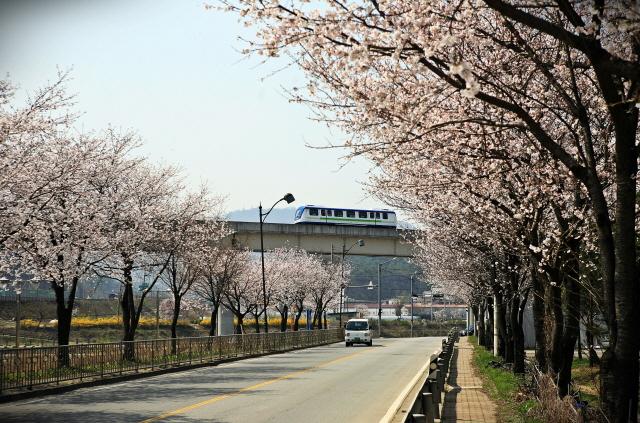 NSP통신-용인경전철 운행 모습. (사진 = 용인특례시)